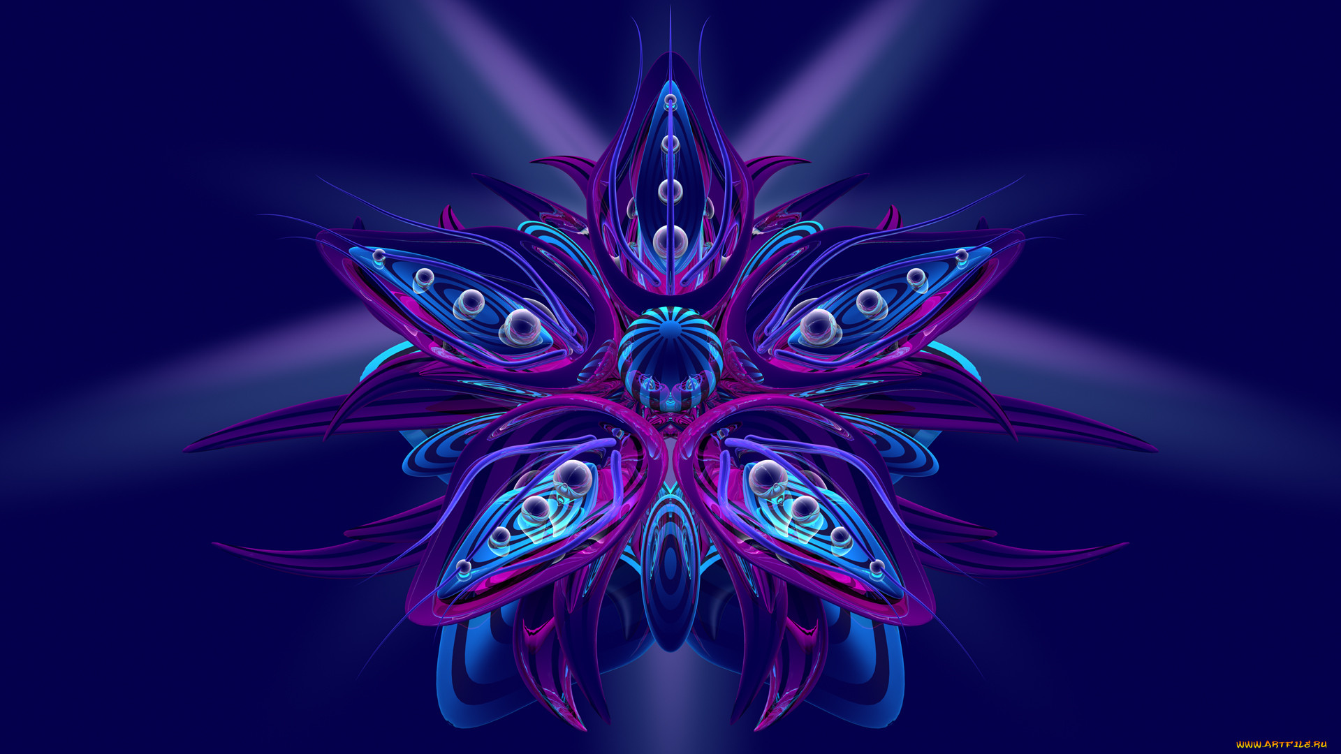 3 ,  , flowers, , , 